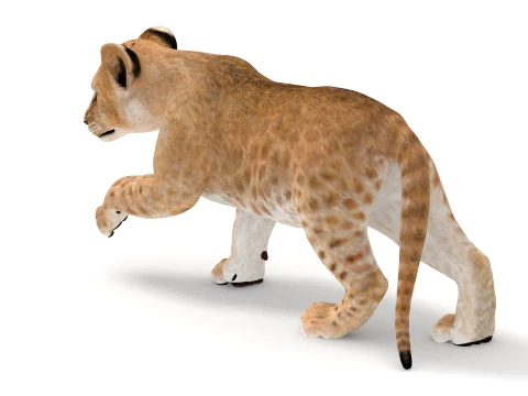 Rigged Lion Cub - Game-Ready 3D Model