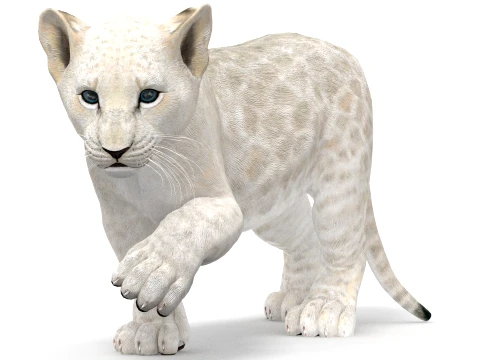 Rigged White Lion Cub - Game-Ready 3D Model