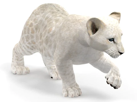 Rigged White Lion Cub - Game-Ready 3D Model