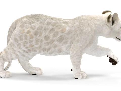 Rigged White Lion Cub - Game-Ready 3D Model