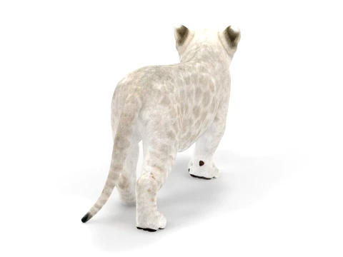 Rigged White Lion Cub - Game-Ready 3D Model