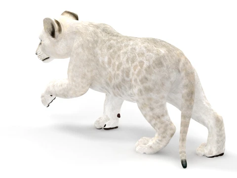 Rigged White Lion Cub - Game-Ready 3D Model