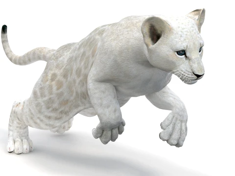 Animated White Lion Cub - Game-Ready 3D Model