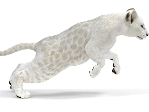 Animated White Lion Cub - Game-Ready 3D Model