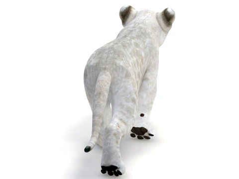 Animated White Lion Cub - Game-Ready 3D Model