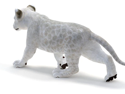Animated White Lion Cub - Game-Ready 3D Model