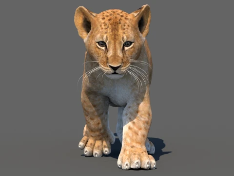 Animated Lion Cub - Game-Ready 3D Model