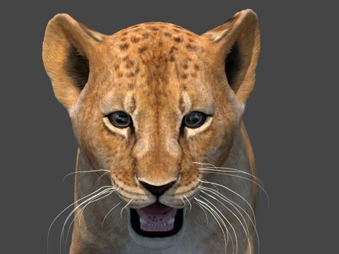 Animated Lion Cub - Game-Ready 3D Model