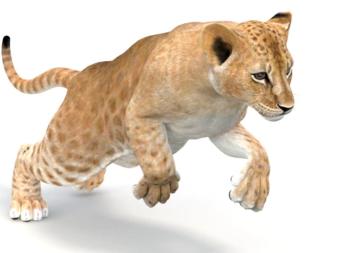 Animated Lion Cub - Game-Ready 3D Model