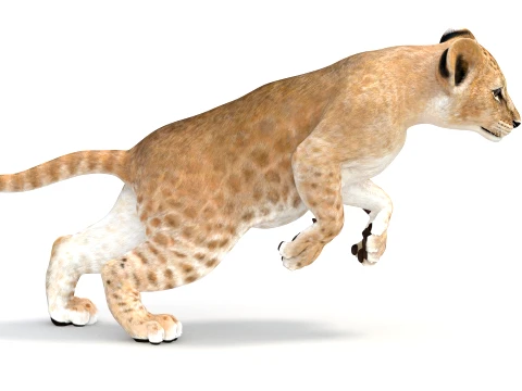 Animated Lion Cub - Game-Ready 3D Model