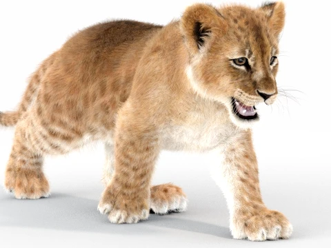 Animated Lion Cub - Ornatrix - Hair and Fur 3D Model