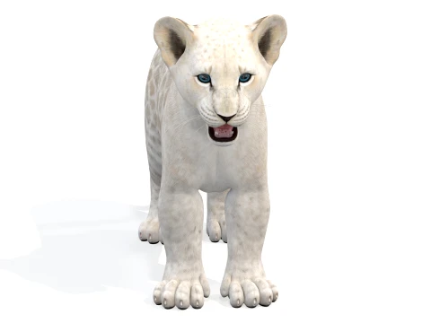 Lion Cub Bundle Natural White 3D Model