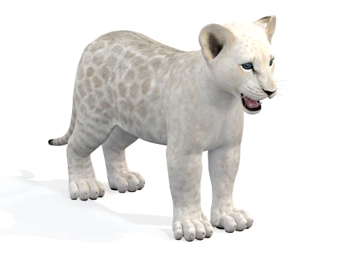 Lion Cub Bundle Natural White 3D Model