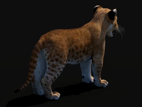 Lion Cub Bundle Natural White 3D Model