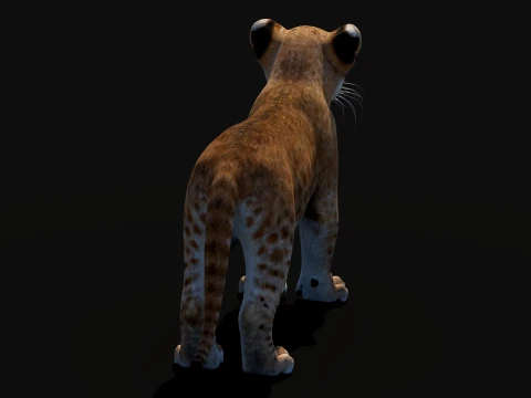 Lion Cub Bundle Natural White 3D Model