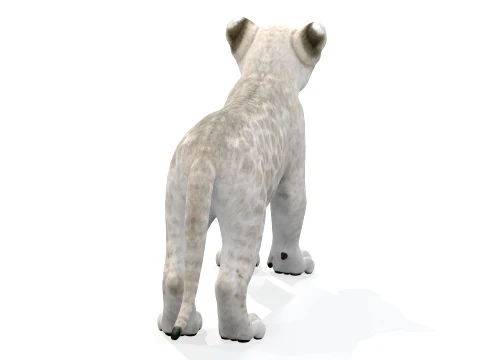 Lion Cub Bundle Natural White 3D Model