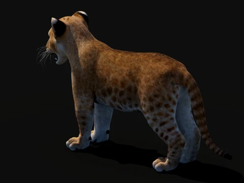 Lion Cub Bundle Natural White 3D Model