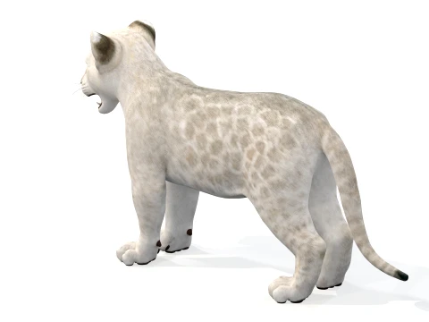 Lion Cub Bundle Natural White 3D Model