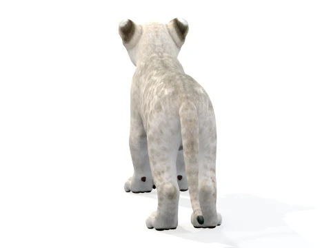 Lion Cub Bundle Natural White 3D Model