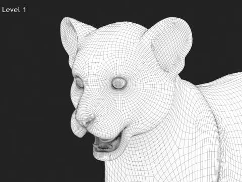 Lion Cub Bundle Natural White 3D Model