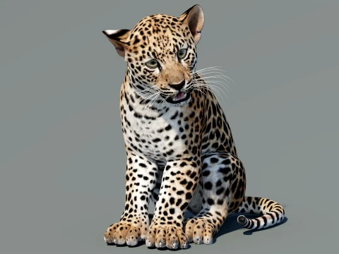 Rigged Leopard Cub 3D Model