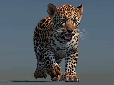 Animated Leopard Cub 3D Model