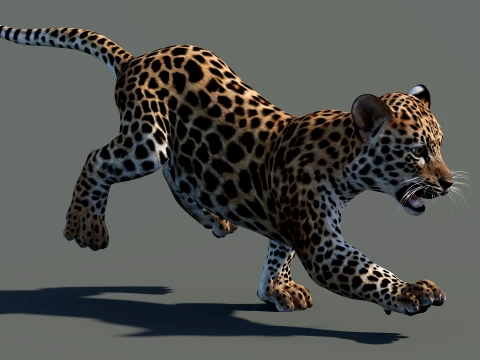 Animated Leopard Cub 3D Model