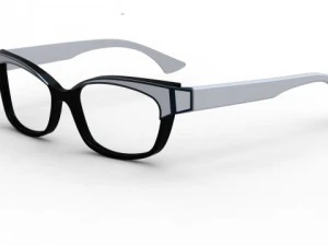 lunettes 1 Modèle 3D