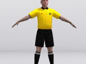 Referee 3D Model