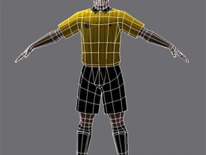 Referee 3D Model