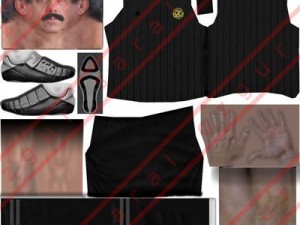 Referee 3D Model