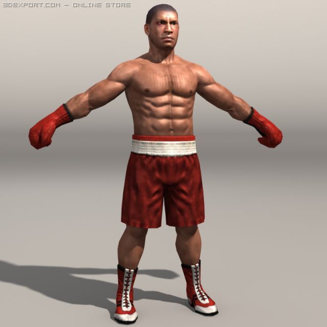 Boxer01 3D Модель .c4d .max .obj .3ds .fbx .stl .blend 