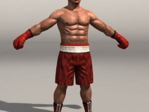 Boxer01 Modello 3D