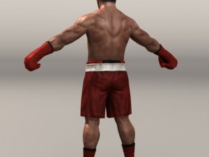 Boxer01 3D Модель