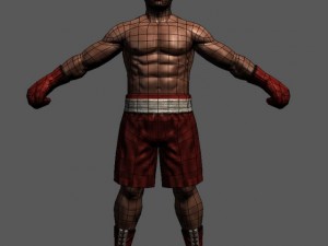 Boxer01 3D Модель