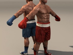 Boxer01 3D Модель
