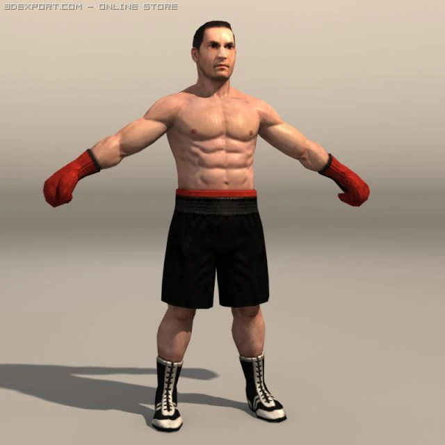 Boxer02 3D Model .c4d .max .obj .3ds .fbx .stl .blend 