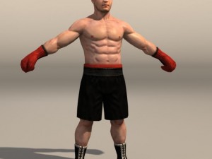 Boxer02 3Dモデル