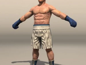 Boxer02 3D Model