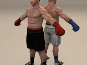 Boxer02 3D Model