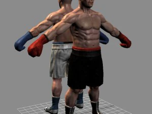 Boxer02 3D Model