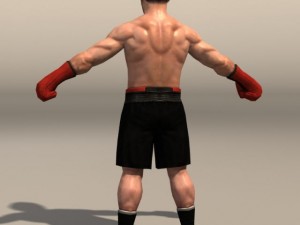 Boxer02 3D Model