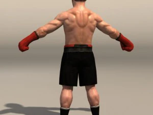 Boxer02 3D Model