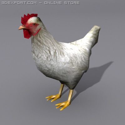 hen 2 3D Модель .c4d .max .obj .3ds .fbx .stl .blend 