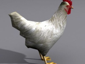 hen 2 3D Модель
