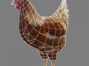 Hen Model 3D