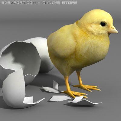 Chicken and eggs Model 3D .c4d .max .obj .3ds .fbx .stl .blend 