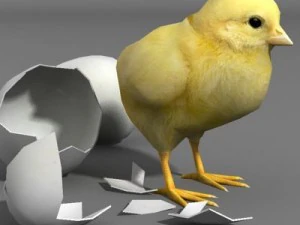 鸡肉和鸡蛋 3D 模型