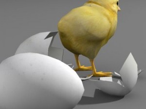 Chicken and eggs Model 3D