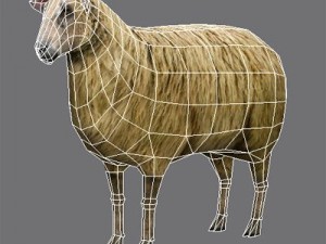 Sheep 3D Модель